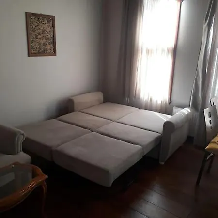 Characteristic And Wooden Fully-equipped Flat Apartment Istanbul