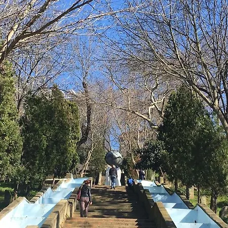 Characteristic And Wooden Fully-equipped Flat 公寓 伊斯坦布尔