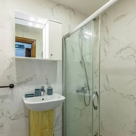 Characteristic And Wooden Fully-equipped Flat