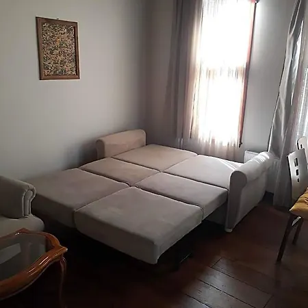 Characteristic And Wooden Fully-equipped Flat *